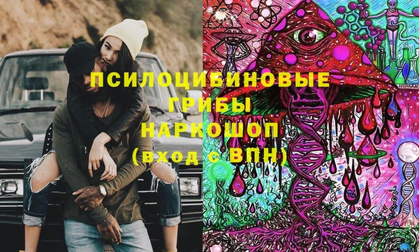 mix Бородино