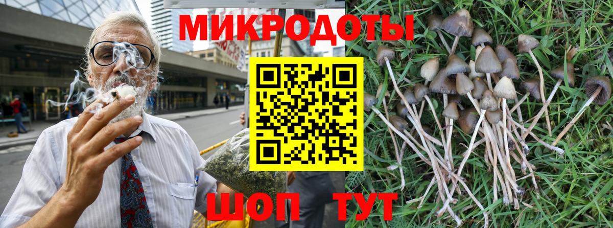 Галлюциногенные грибы Psilocybine cubensis Светлоград