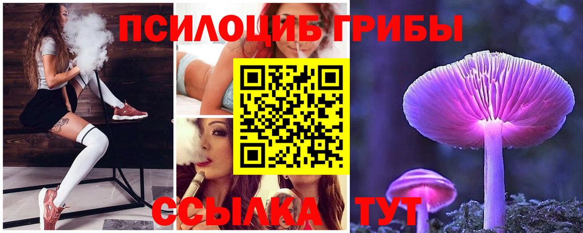 Галлюциногенные грибы Cubensis  наркошоп  Светлоград  Вход с VPN 