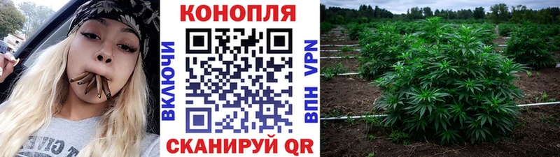Марихуана семена  магазин продажи наркотиков  Светлоград 